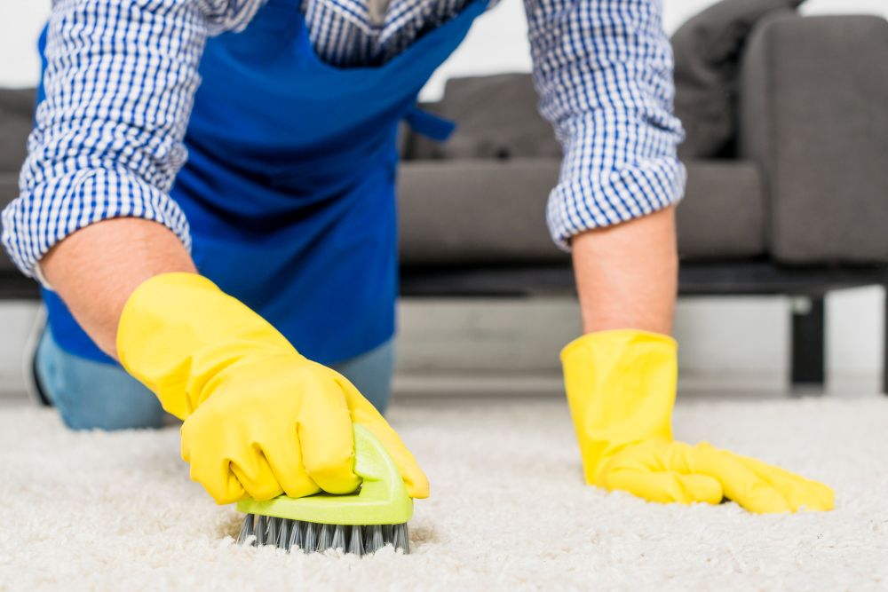 How to Remove Mud Stains from Carpet