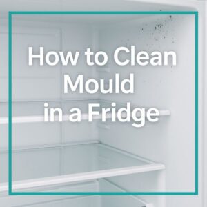 How To Clean Fridge Mold 10 Best Way to Safely Remove
