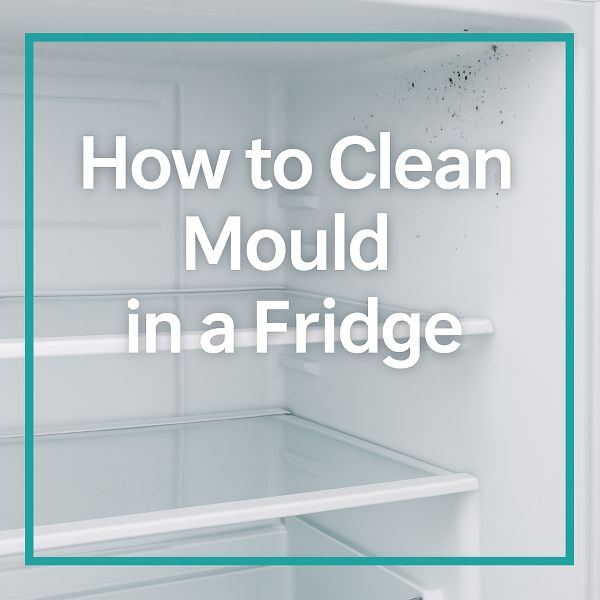 How To Clean Fridge Mold 10 Best Way to Safely Remove