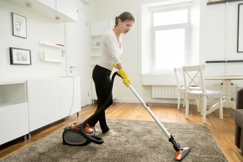 Pet safe carpet cleaning method