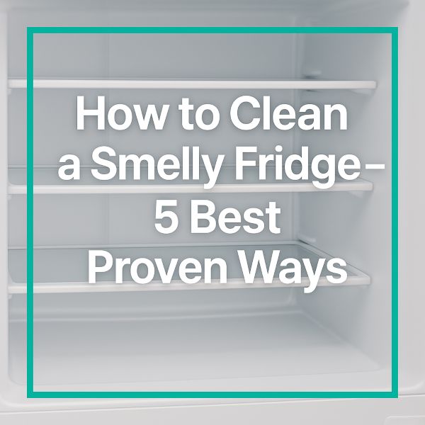 How to Clean a Smelly Fridge