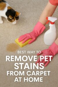 how to remove pet stains from carpet