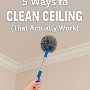 how to Clean Ceiling