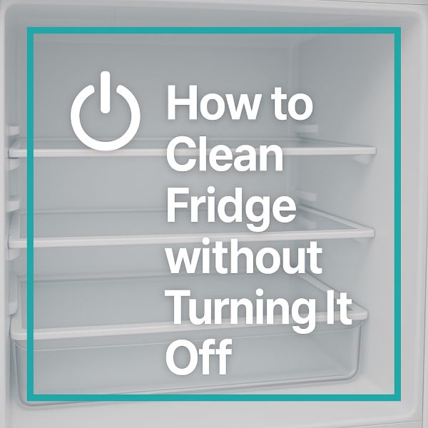 how to clean fridge without turning it off